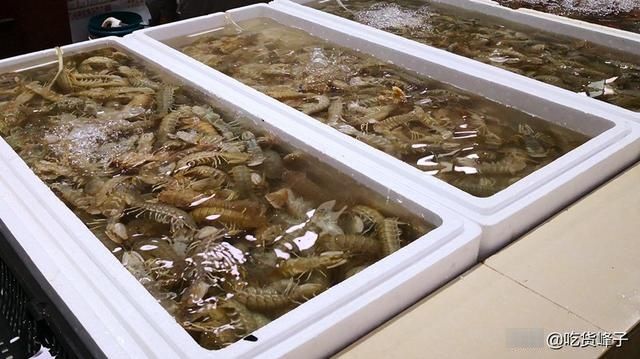 梭子蟹|立秋后，如果不差钱，记得吃这5种海鲜，鲜美营养高，错过了可惜