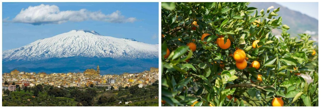 血橙|减肥≠减重？Yes，你更需要的是减脂——意大利西西里血橙提取物