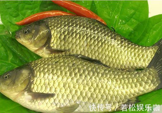 身体健康|生活中的3种鱼尽量少吃，或对身体健康不利，不妨一看