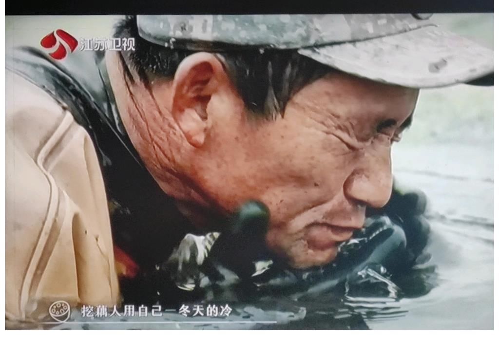 关于收官站【百姓的味道】里面一些被触动到的地方