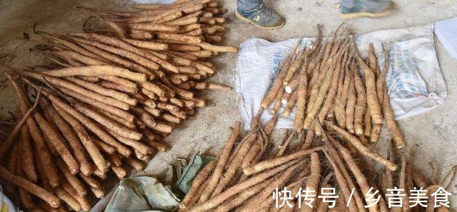 秋天|立秋了，这六种“根菜”要多吃，营养丰富贴秋膘，提高自身免疫力！
