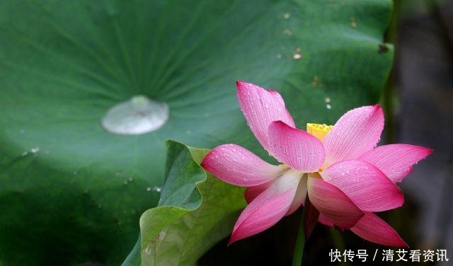 人到低谷,不管多穷,都别喊穷