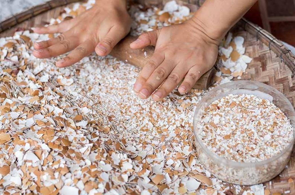 怎么安心用蛋壳养花没落实这些，盆栽植物会越来越糟