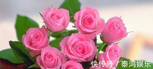 求饶@君子易处小人难防，击垮小人的4大妙计，学会一招小人跪地求饶！