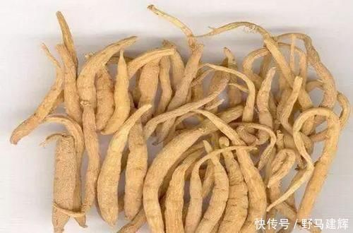 人参、丹参、党参、西洋参……到底啥区别收好这份用法和功效