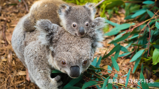 24个冷知识或许也曾知晓，但却没有深入了解的奇怪知识