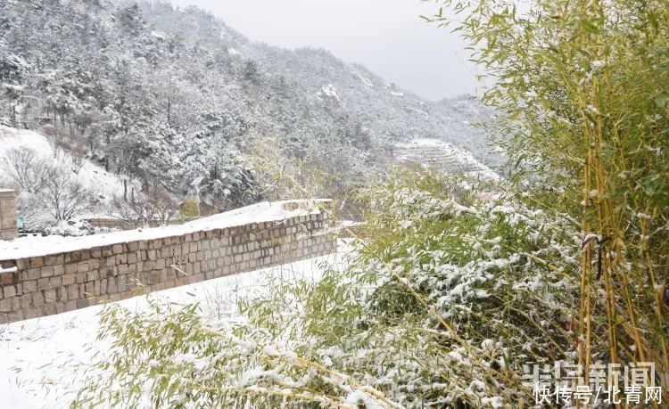 肖枫|你那里是下雨还是下雪？今天，同在青岛，却仿佛不在一个季节...