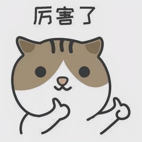 上过春晚的家常菜，10元一大盘，干香酥韧真上头