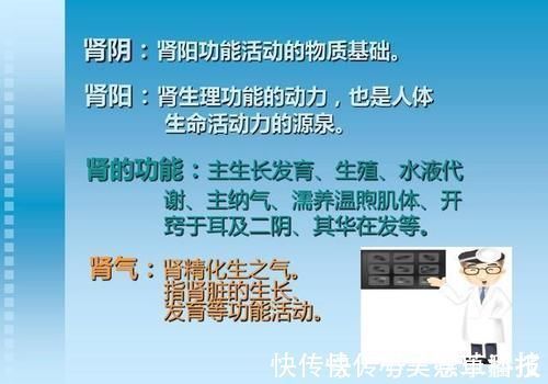 桂枝|桂附地黄丸和金匮肾气丸各自的功效有什么不同?