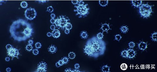 拖把|换季清洁好帮手~安本素高温蒸汽拖把深度测评~