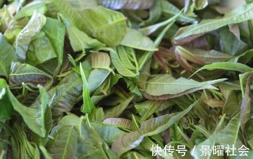 阴道炎|十个女人九个炎症，常吃这几种食物，保养子宫，炎症不来扰