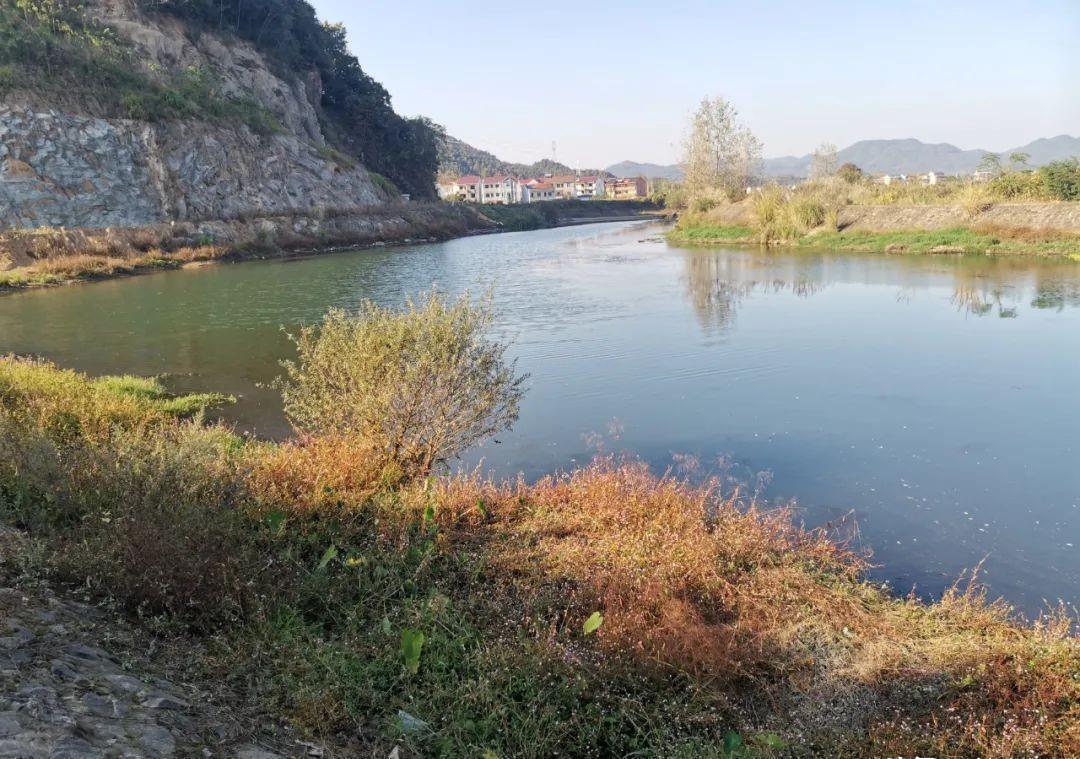 野钓别|盯紧你的浮漂!冬天野钓别等黑漂,这样的小信号也能中鱼