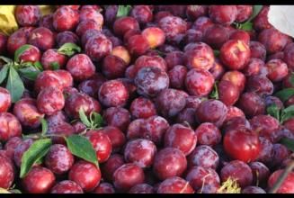 胃不好的人，尽量别空腹吃4类食物