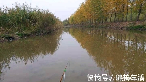 冬钓鲫鱼4“要”原则,学会这些“万金油”,冬季钓鱼不走空