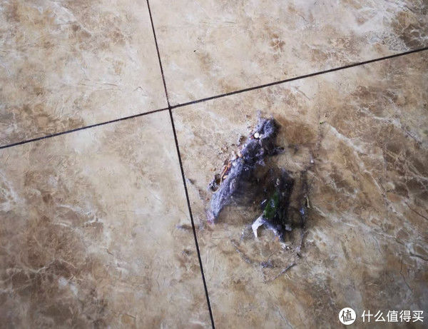 静电|为什么屋子明明是密闭的，家里仍然有很多“毛毛”？该怎么清理？