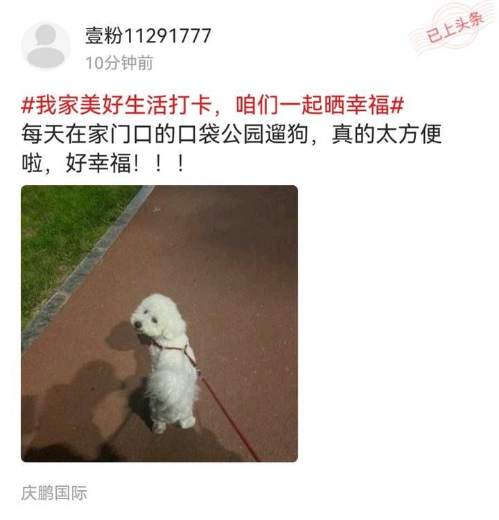 上线24小时阅读量超13万，你参与#我家美好生活打卡#了吗？