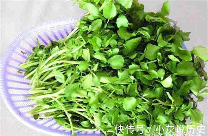 红背菜|女性想要皮肤好,坚持吃三食物,美容抗衰,排毒消脂,营养又瘦身