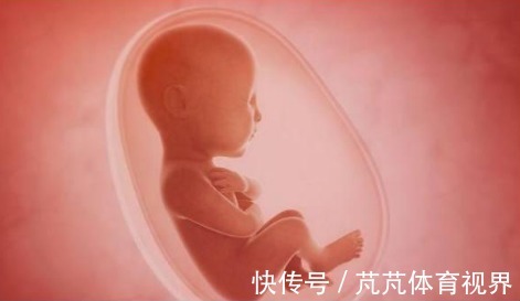 孕期|胎儿的性别,事实是在孕期的这个时间段形成的,宝妈们来看看