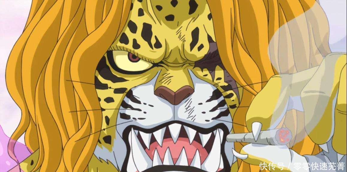 船队|海贼王10位最强导师!草帽团能预定未来海贼王船队,多亏这7位导师!