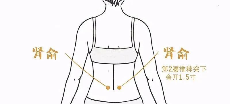 黑豆|冬季进补，补肾最为重要，养肾指南，人手一份！