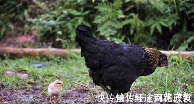 伯禽|历史上最尴尬的十大姓,你要是在这样的家庭,该如何取名字?