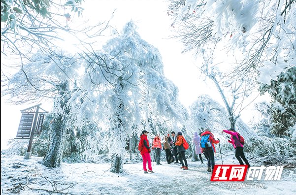 奇缘|美翻了！来南岳邂逅一场冰雪奇缘