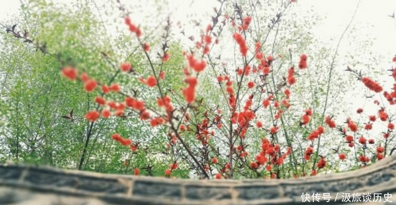 选入课本最多的一首宋诗,其中有一句脍炙人口,但意思却又扭曲了