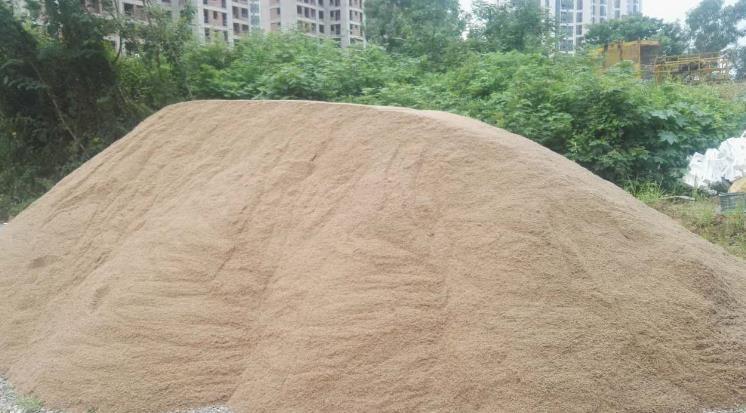 花友|河沙养花“有3大妙用”:配土透气性好、育苗和扦插成活率高