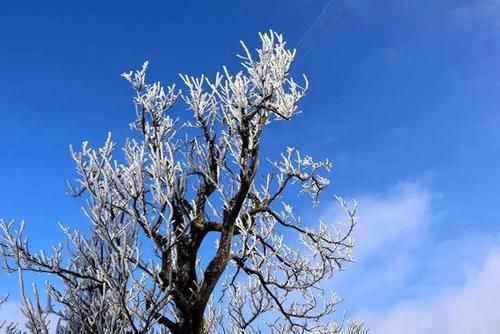  冷空气|湖说天气——大雪会下雪吗？