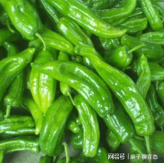清肠|天热，它是“清肠高手”，5毛钱一斤，鲜香美味特下饭，越吃越瘦