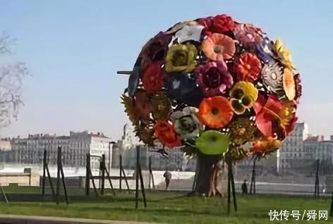 神奇!这个开花树居然可以长成这样震撼世人!真是太美了