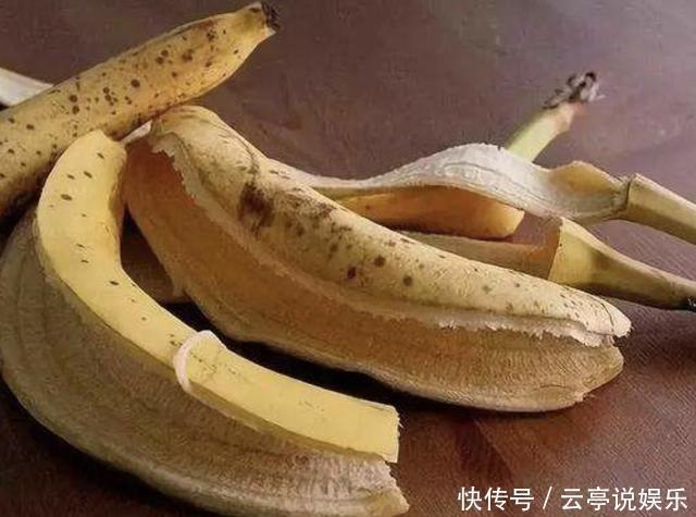花卉|养花别浇“营养液”,就用“1种肥水”,浇1次,1年不用施肥!
