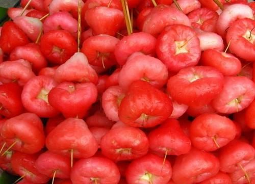 男女40歲后，可以多吃的好食物，促進消化，增加食欲，肌膚不顯老