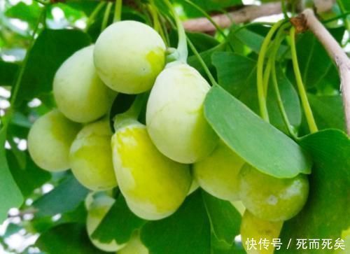 内分泌|甲状腺结节的“根源”找到了,奉劝一句:再馋也需忌嘴,别忽视