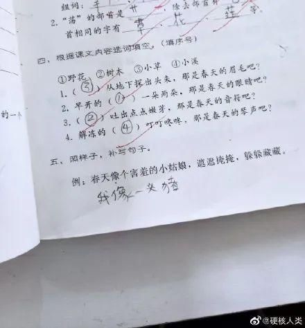 小学|一边心疼小学老师，一边笑得好大声