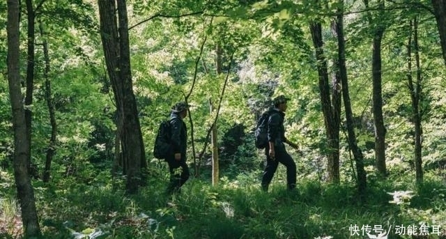 护林员|给你千里眼和顺风耳,你会做什么?