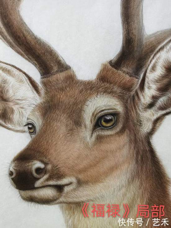 画家!画家潘红以情画鹿以心画鹿献礼建党百年