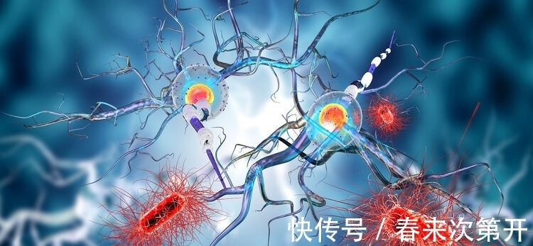 胰腺癌|为什么不同癌症生存时间如此不同,有人癌症晚期还能长期存活?