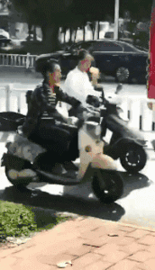 |搞笑GIF:被柠檬酸倒的宝宝,这辈子估计不想再吃这个水果了