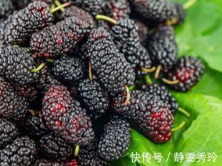 血糖生成指数|经常吃桑葚,到底是升血糖还是降血糖终于有营养师说正确吃法了