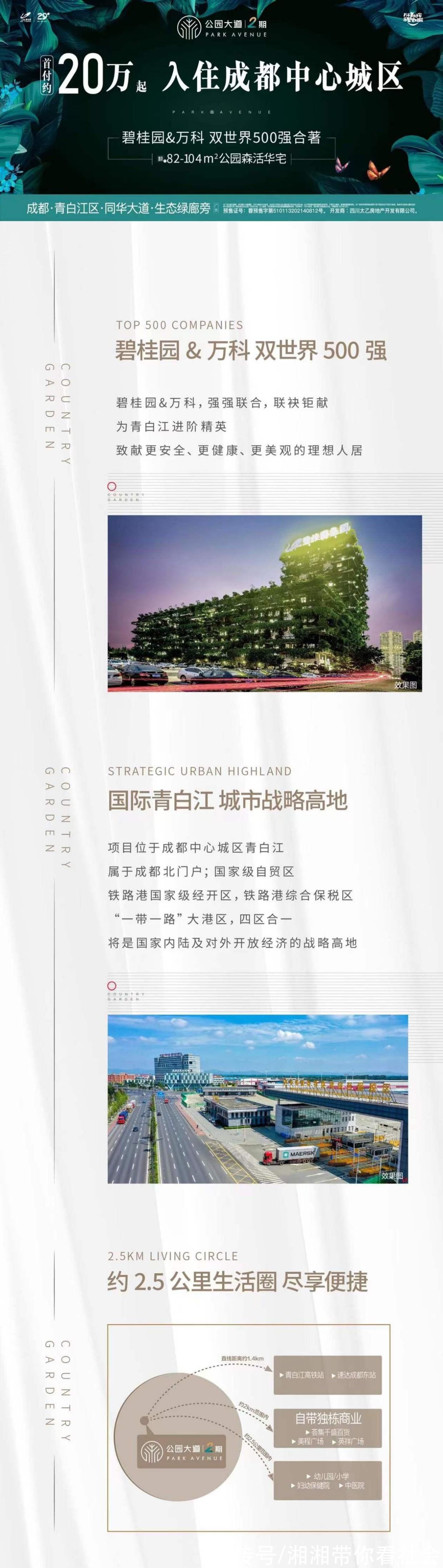 万科|碧桂园与万科强强联合打造成都纯居社区