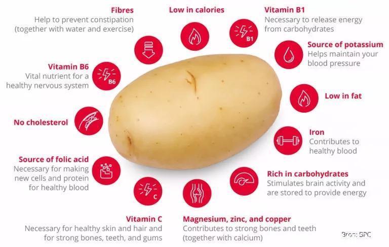 减肥|减肥中,为什么最推荐的主食是土豆?