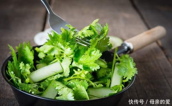 保存香菜不能直接放冰箱,老农教你一招,放久了不发黄也不烂叶