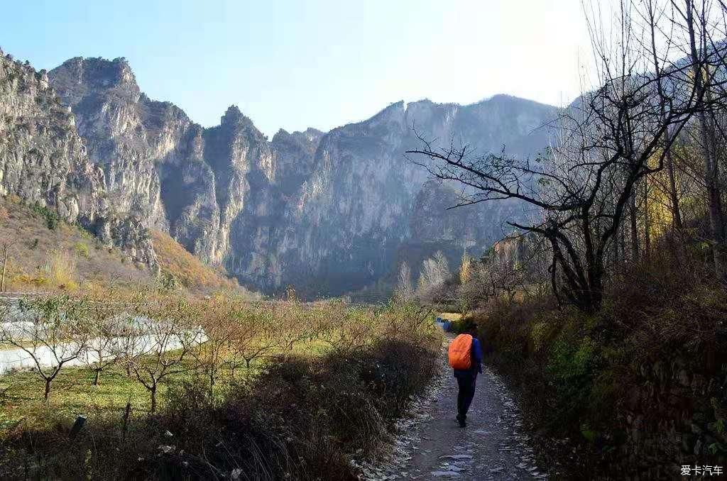 陵川红豆杉大峡谷