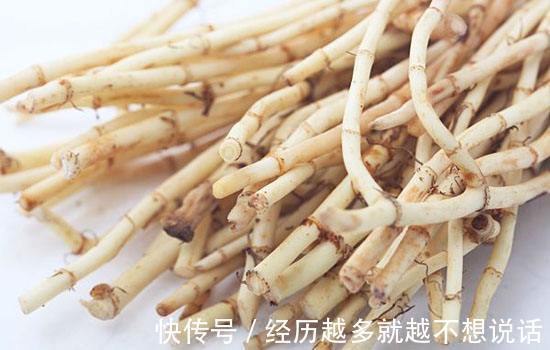 尿酸|此物被称为痛风“死对头”，若坚持泡水喝，高尿酸可能会“投降”