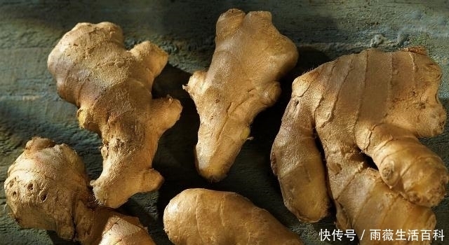 农村几种“明星级”的中药材,冬天适合采收,你认识几种?