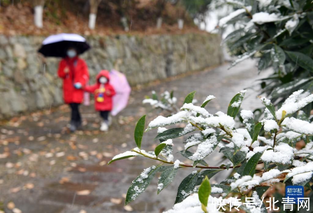 秭归县|全国多地迎降雪