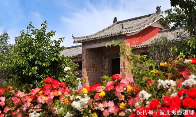 门票|初夏时节，郑州伏羲山玫瑰岭花开成海，不要门票却鲜为人知