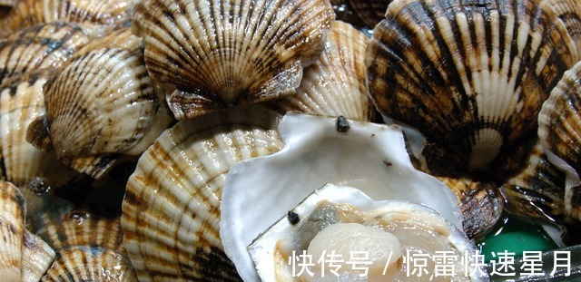 蒸扇贝用冷水蒸还是热水蒸,做对了扇贝肉鲜嫩不回缩 ,回味无穷!