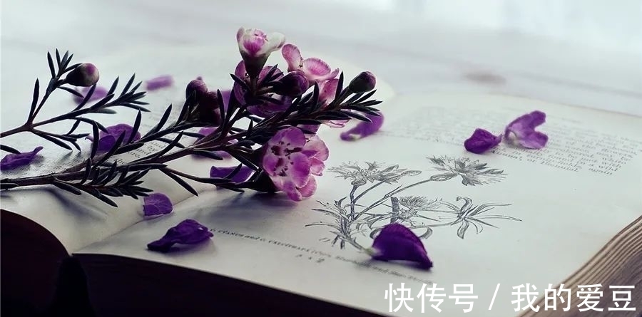 精华!掌握三个方法,一年能读300本书